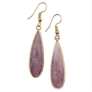 Darcy Collection 18k Gold Over Ion Stainless Steel Strawberry Teardrop Earrings